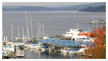 Docked boats